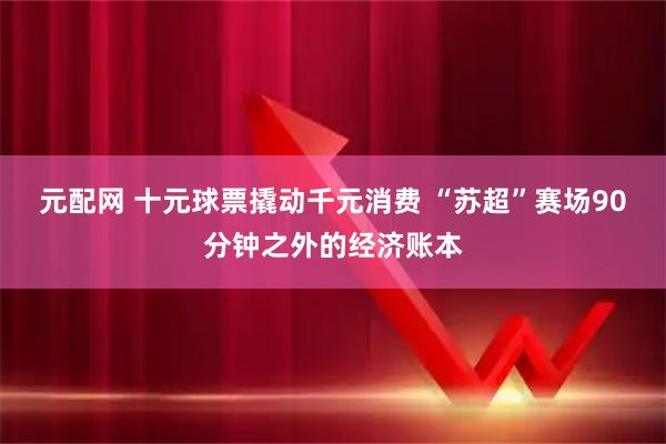 元配网 十元球票撬动千元消费 “苏超”赛场90分钟之外的经济账本