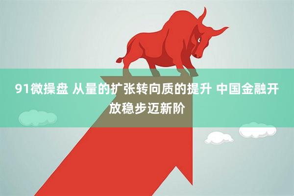 91微操盘 从量的扩张转向质的提升 中国金融开放稳步迈新阶