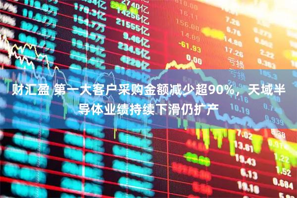 财汇盈 第一大客户采购金额减少超90%，天域半导体业绩持续下滑仍扩产